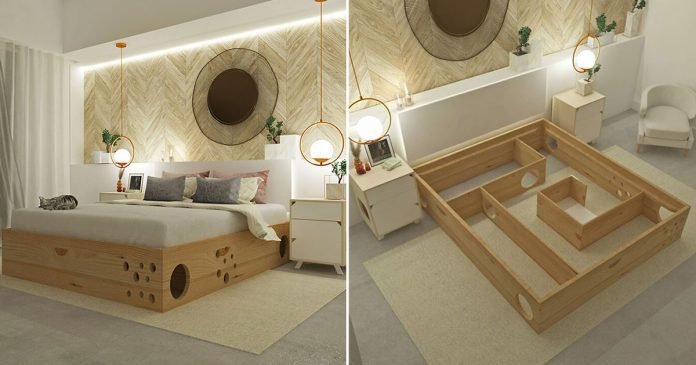 cama perfectamente diseñada para personas con gatos