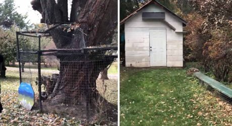 Abuelo construye el patio de juegos al aire libre más increíble para su gato