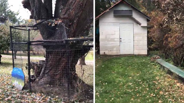 Abuelo construye el patio de juegos al aire libre más increíble para su gato