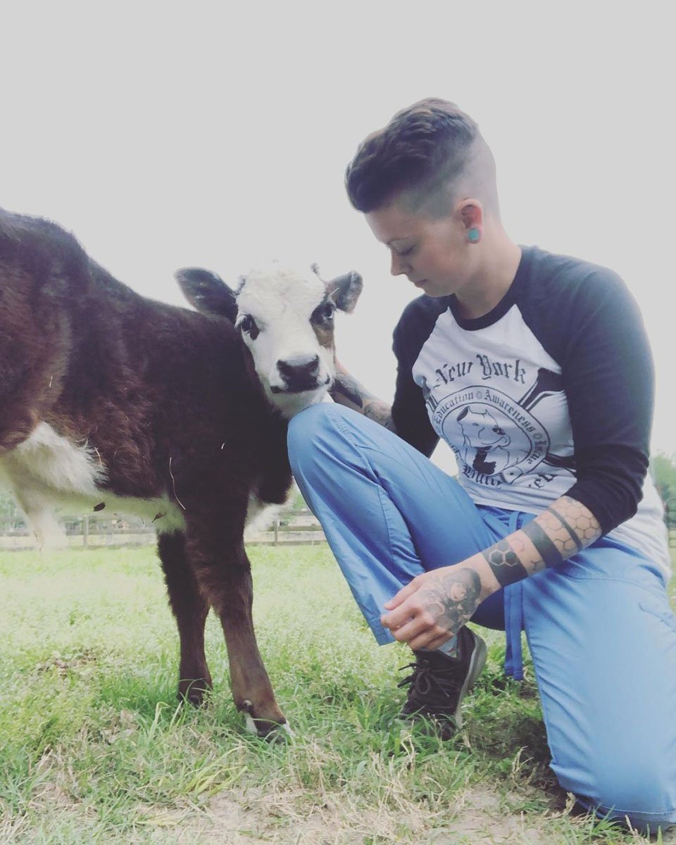 Adorable vaca y su madre