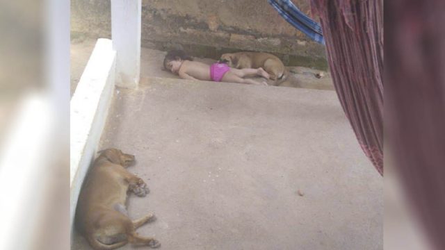 Los padres de esta niña sintieron el silencio y la encontraron durmiendo una siesta con su perro