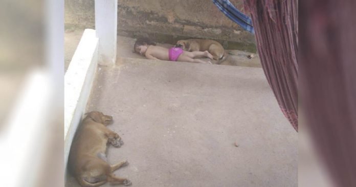 Los padres de esta niña sintieron el silencio y la encontraron durmiendo una siesta con su perro