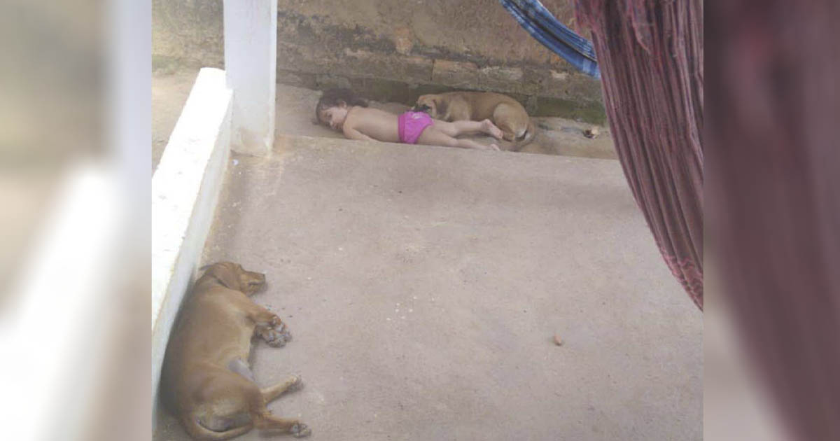 Los padres de esta niña sintieron el silencio y la encontraron durmiendo una siesta con su perro