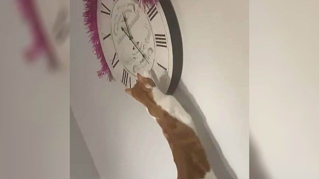 Mujer finalmente se da cuenta de por qué el reloj siempre está mal