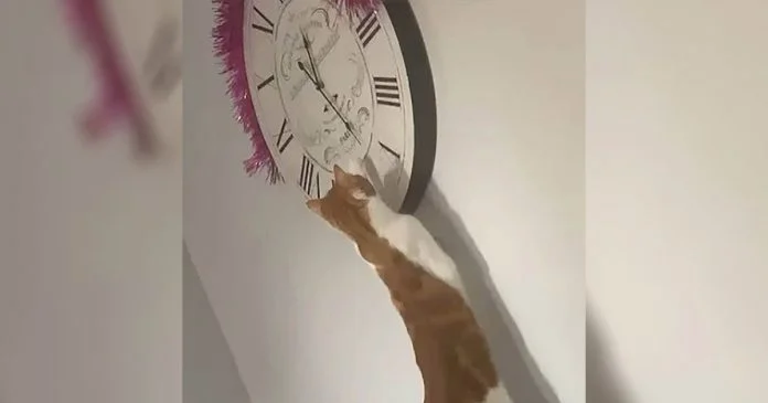 Mujer finalmente se da cuenta de por qué el reloj siempre está mal