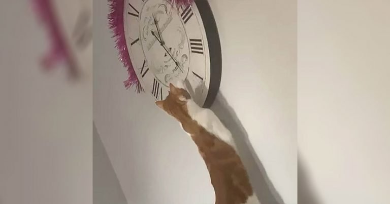 Mujer finalmente se da cuenta de por qué el reloj siempre está mal