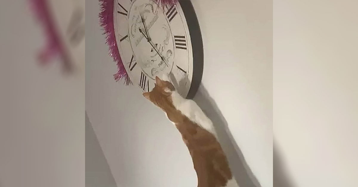 Mujer finalmente se da cuenta de por qué el reloj siempre está mal