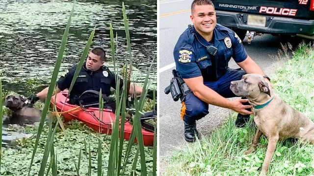 Oficial de policía usa kayak para rescatar perro