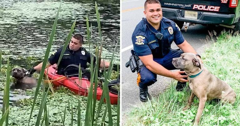 Oficial de policía usa kayak para rescatar perro