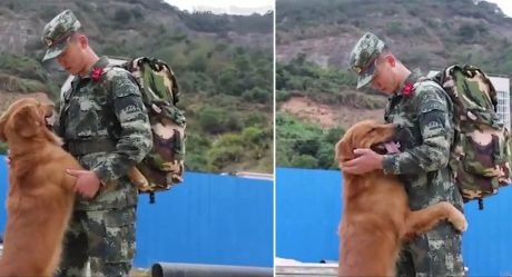 Perro militar se niega a dejar que su adiestrador se vaya después de estar con él dos años