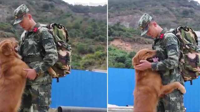 Perro militar se niega a dejar que su adiestrador se vaya después de estar con él dos años