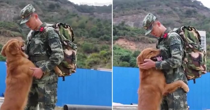 Perro militar se niega a dejar que su adiestrador se vaya después de estar con él dos años