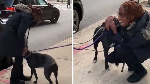 Pitbull no puede creer que esté viendo a mamá después de un año en las calles