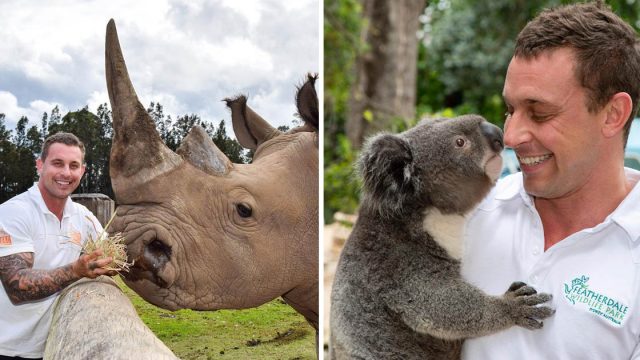 Hombre comparte fotos administrando parque vida silvestre