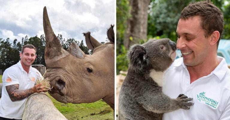 Hombre comparte fotos administrando parque vida silvestre