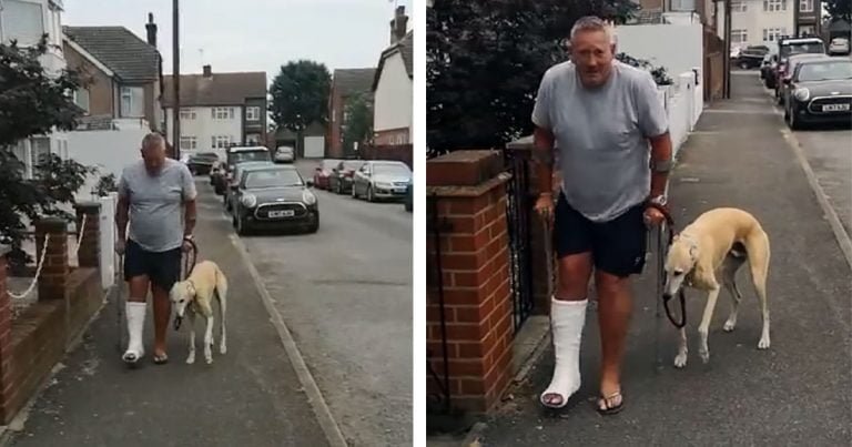 Hombre gasta $400 en veterinario para su perro y solo cojeaba por compasión