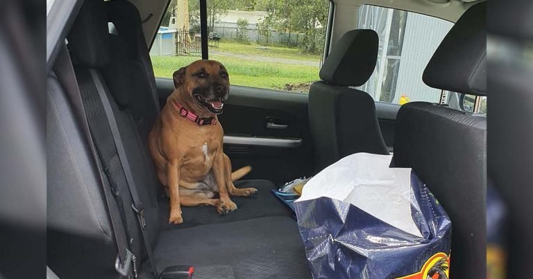 Mujer deja la puerta de su auto abierta y encuentra a alguien adorable adentro