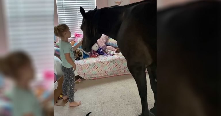 Niña ama tanto a los caballos que los mete a escondidas en su habitación
