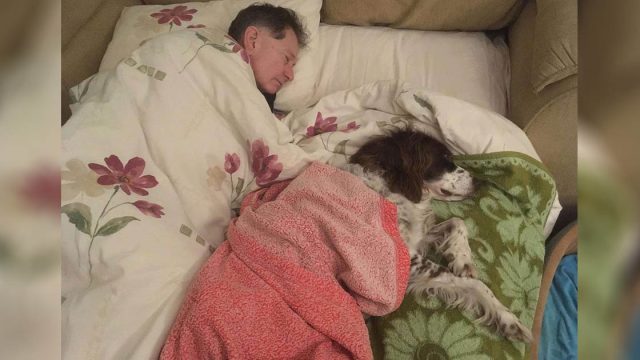 Papá duerme en el sofá junto a su perro mayor para hacerle compañía