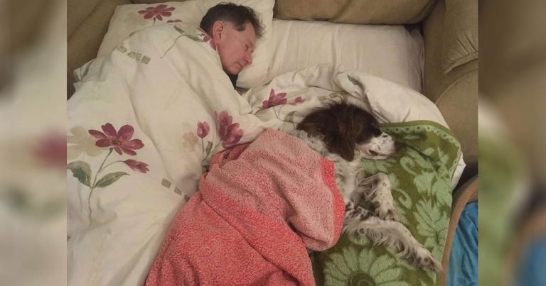 Papá duerme en el sofá junto a su perro mayor para hacerle compañía