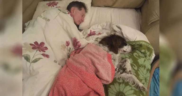 Papá duerme en el sofá junto a su perro mayor para hacerle compañía