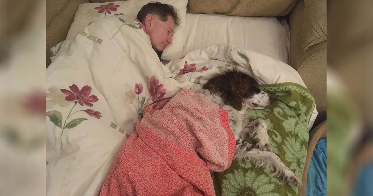Papá duerme en el sofá junto a su perro mayor para hacerle compañía