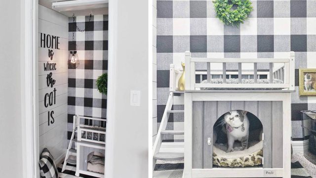 Pareja construye dormitorio para su gatita mimada