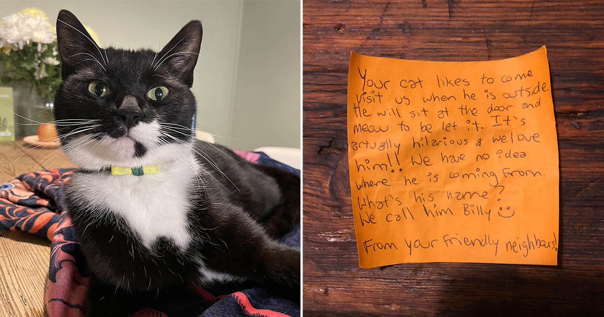 Pareja ve que su gato regresa con nota en collar