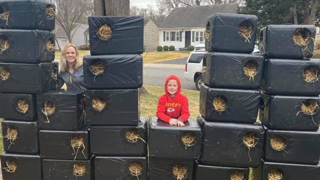 Mamá e hijo construyen casas para gatos