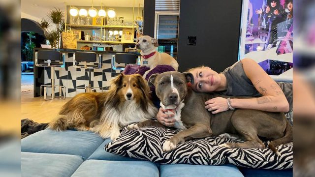 Miley Cyrus llora de felicidad al presentar a su nuevo perro rescatado