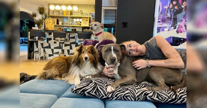 Miley Cyrus llora de felicidad al presentar a su nuevo perro rescatado