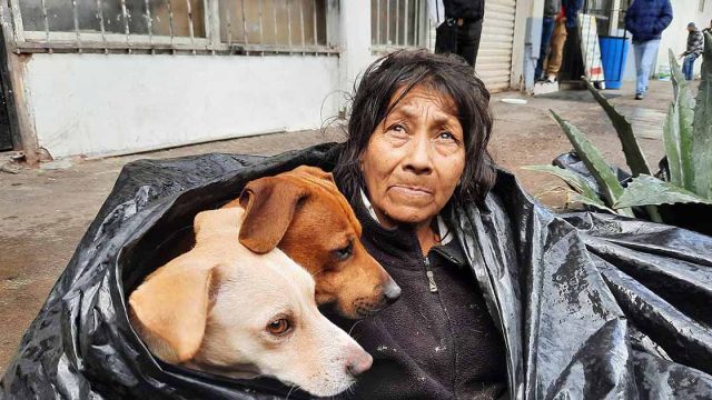 Mujer sin hogar duerme en una bolsa de basura para estar junto a sus seis perros