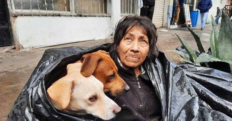 Mujer sin hogar duerme en una bolsa de basura para estar junto a sus seis perros