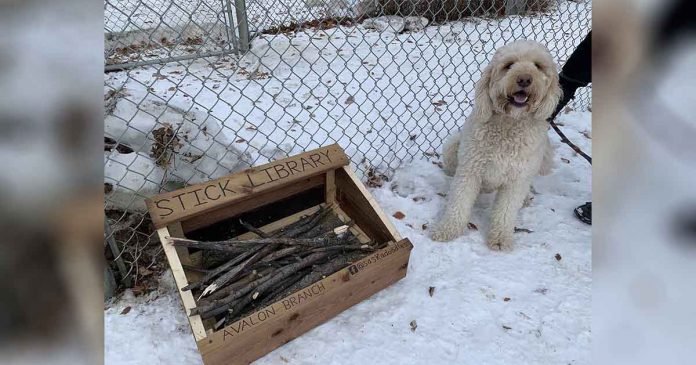 Niño de 10 años crea biblioteca de palos para perros de su localidad