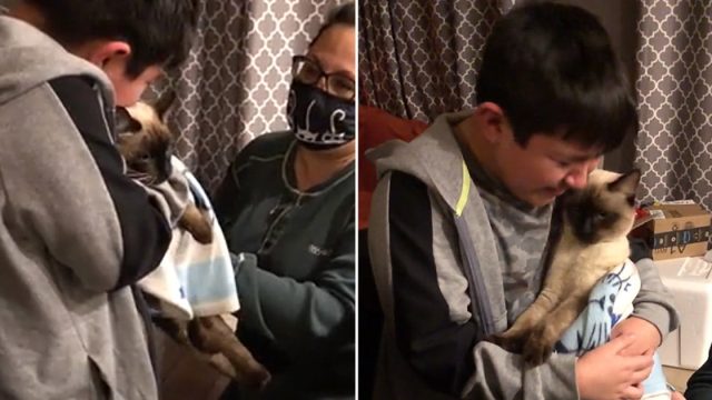 Niño no puede contener las lágrimas