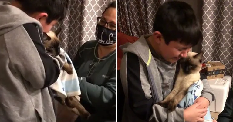 Niño no puede contener las lágrimas