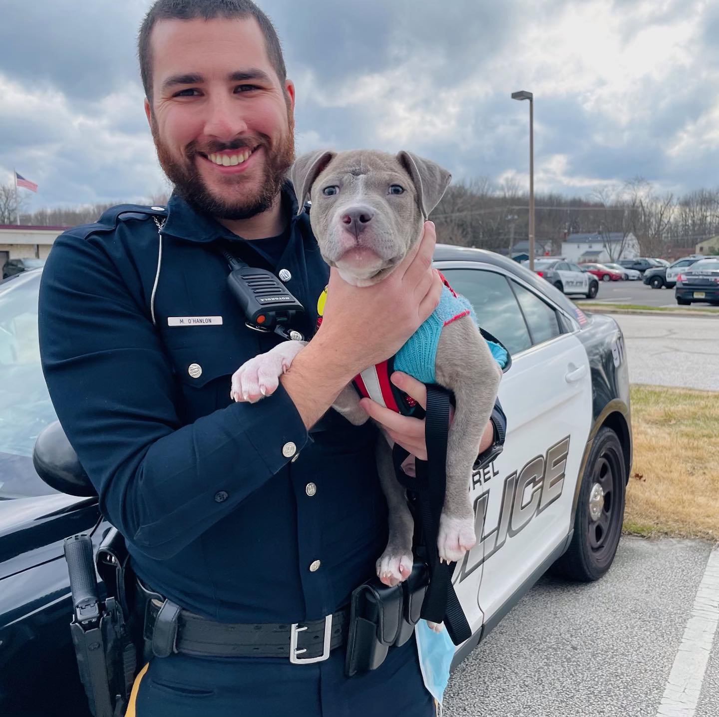 Oficial de policía y cachorro pitbull