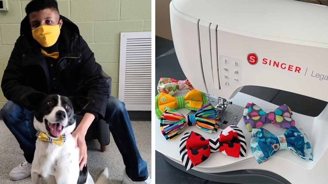 Adolescente hace pequeños corbatines para perros y gatos para ayudarlos a ser adoptados