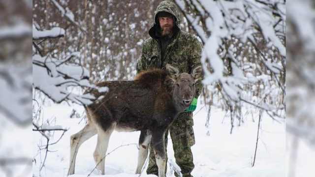 Ex soldado de las fuerzas especiales de Rusia está dedicado a salvar animales
