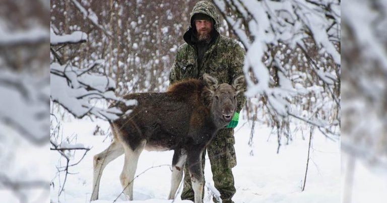 Ex soldado de las fuerzas especiales de Rusia está dedicado a salvar animales