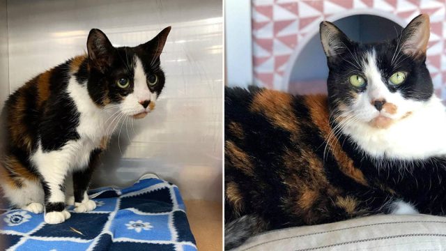 Gata de 17 años abandonada por familia