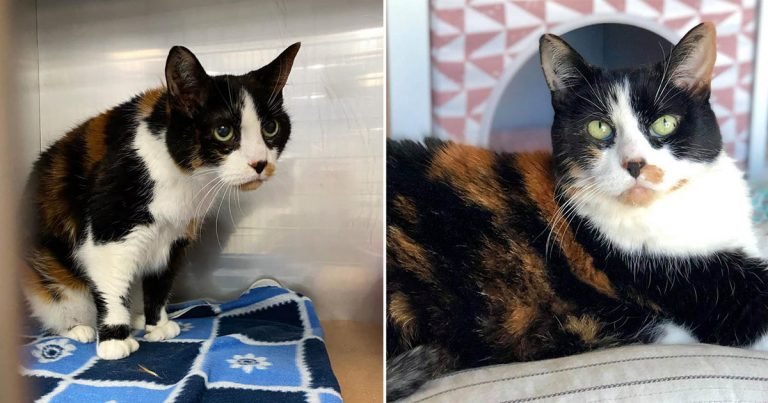 Gata de 17 años abandonada por familia