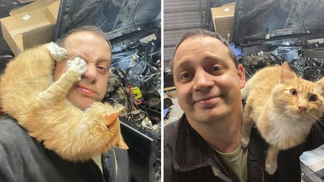 Gatita amistosa aparece garaje este hombre
