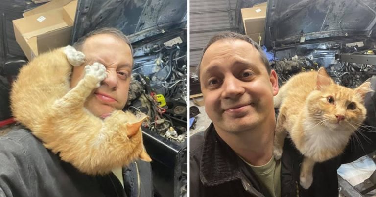 Gatita amistosa aparece garaje este hombre