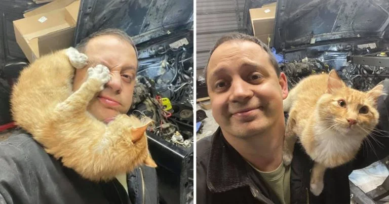 Gatita amistosa aparece garaje este hombre