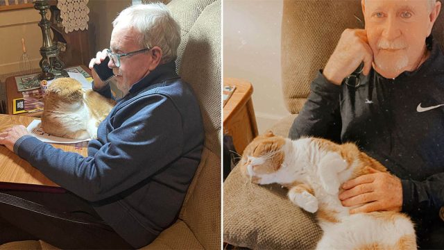 Gato no se aleja de su abuelo