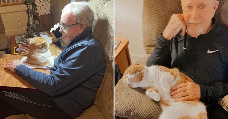 Gato no se aleja de su abuelo