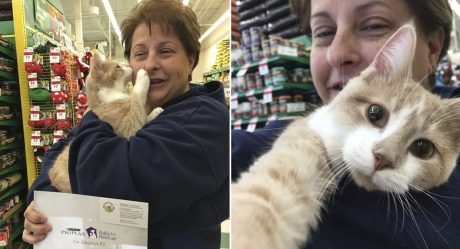 Gato rescatado está tan feliz de ser adoptado que no puede dejar de abrazar a su mamá