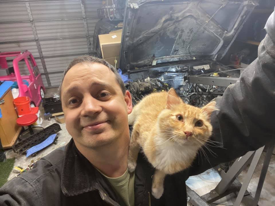 Hombre encuentra un gato amistoso en su garaje