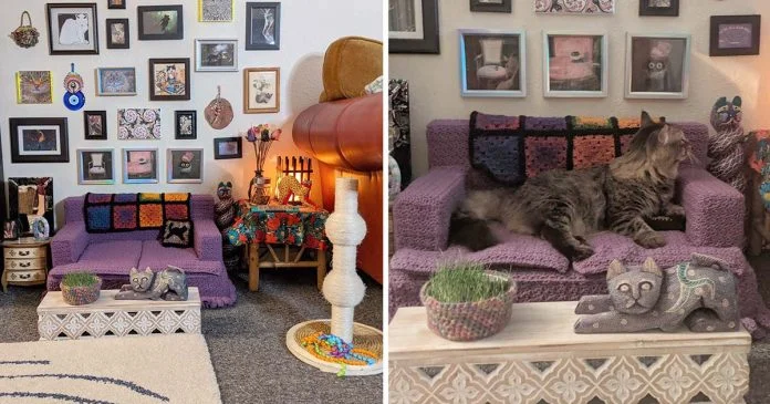 Mujer crea sala estar gatitas